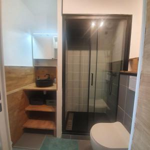 La salle de bains est pourvue de toilettes et d'une douche en verre. dans l'établissement Appartement rez de jardin proche du centre ville de sarzeau, à Sarzeau