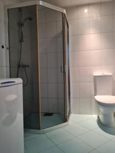 a bathroom with a shower and a toilet at Cozy one bedroom apartment in city center in Tallinn
