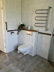 a bathroom with a toilet and a shower at Unique holiday accommodation on Langholmen in Gothenburgs western archipelago in Torslanda
