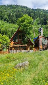a wooden cabin in a field of grass and flowers at Yayla Bungalov in Ayder Yaylasi