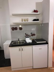 uma pequena cozinha com um lavatório e um balcão em Cozy Max Studio em Jagodina