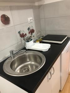 un bancone della cucina con lavandino in acciaio inossidabile di Cozy Max Studio a Jagodina