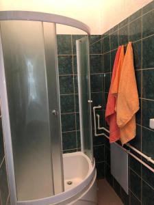 uma casa de banho com um chuveiro e um WC. em Cozy Max Studio em Jagodina