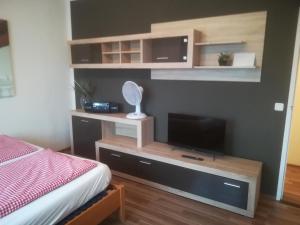 1 dormitorio con 1 cama y TV en un estante en Zentral gelegene, sehr ruhige und helle Wohnung en Graz