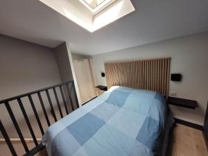 a bedroom with a large bed with a skylight at Duplex Mon Désert - Parc Sainte Marie - Nancy Thermal in Nancy