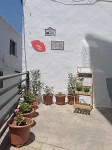 un grupo de plantas en macetas al lado de un edificio en Villa Beso Casa Rural, en Otívar