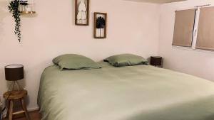 ストラスブールにあるLe Strasbourgeoisのベッドルーム1室(ベッド1台、緑の枕2つ付)