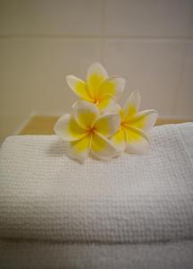 une fleur blanche et jaune assise au-dessus d'un lit dans l'établissement Rumah Biru, à Flying Fish Cove