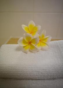 uma flor branca e amarela sentada em cima de uma cama em Rumah Biru em Flying Fish Cove