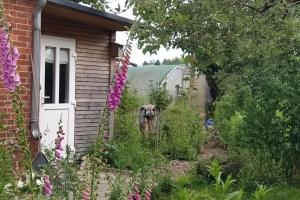 einen Garten vor einem Haus mit lila Blumen in der Unterkunft FairSchlafen in Bücken