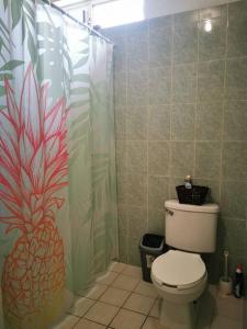 a bathroom with a toilet and a pineapple shower curtain at Panoramic Paradise 5 min to downtown and beach in Zihuatanejo +17 photos