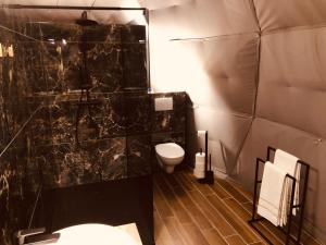 a bathroom with a black tiled shower and a toilet at Glamping De Coude Scheure in Middelkerke +48 photos