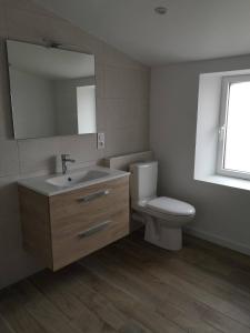 uma casa de banho com um WC, um lavatório e um espelho. em Gîte O Petit Bouchon à 10 min du Puy du Fou em Sevremont