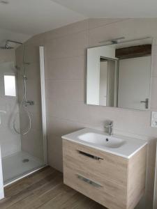 uma casa de banho com um lavatório e um chuveiro em Gîte O Petit Bouchon à 10 min du Puy du Fou em Sevremont