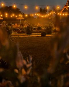 a view of a park at night with lights at Goose Home and Garden in Łeba