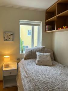 1 dormitorio con cama con almohada y ventana en Charming 3 bedroom apartment, en Akureyri