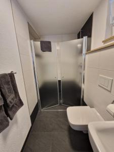 uma casa de banho com um chuveiro, um WC e um lavatório. em Casa Zappata em Überlingen