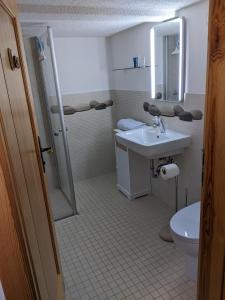 a bathroom with a sink and a shower and a toilet at Ferienhaus 3 Eulen in Kurort Altenberg