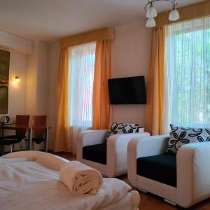a hotel room with two beds and a flat screen tv at Willa Flora in Krynica Zdrój