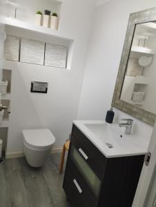 La salle de bains est pourvue de toilettes, d'un lavabo et d'un miroir. dans l'établissement Ca Na Xisca, à Felanitx