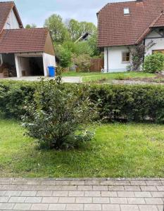 un arbusto en un patio frente a una casa en Ferienwohnung mit Terrasse Nähe Bayreuth en Heinersreuth