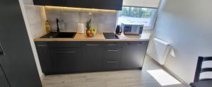 a kitchen with a counter with a sink and a microwave at Centrum Prusa Prestige 211 in Lublin