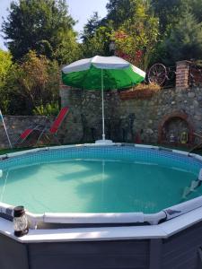 a swimming pool with an umbrella and an umbrella at Barbu Ionel in Băile Herculane
