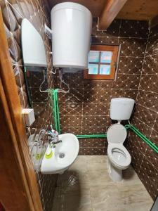 ein Bad mit einem WC und einem Waschbecken in der Unterkunft Planinska tišina Guest House in Plužine