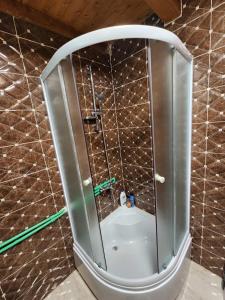 a shower with a glass enclosure in a bathroom at Planinska tišina Guest House in Pluzine
