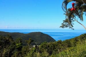 Φυσικό τοπίο κοντά σε αυτή η παραθεριστική κατοικία +61 φωτογραφίες