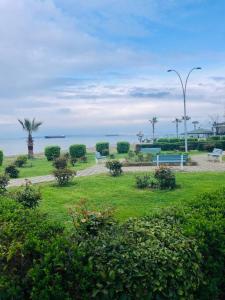 einen Park mit grünem Gras und einem Straßenlicht und dem Meer in der Unterkunft Sea View Modern Appartement with a Privet Garden in Çiftlikköy