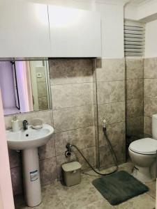 ein Bad mit einem Waschbecken und einem WC in der Unterkunft Sea View Modern Appartement with a Privet Garden in Çiftlikköy