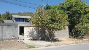 a house with a tree in front of a building at Casa refúgio in Cavalcante
