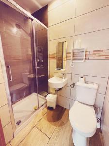 a bathroom with a toilet and a sink and a shower at Fonda Aparicio in Fuentespalda