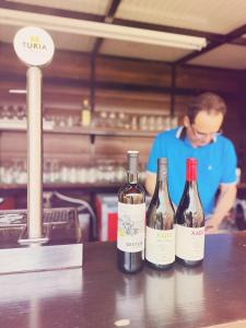 tres botellas de vino sentadas encima de un mostrador en Fonda Aparicio, en Fuentespalda