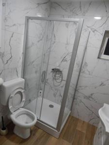 een badkamer met een douche en een toilet bij Zvezda vodilja 2 in Veternik