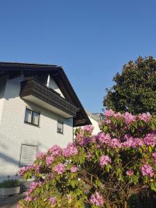 un edificio con fiori rosa di fronte di Ferienwohnung Magnolie in Langenargen a Langenargen