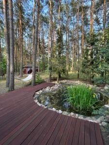 una terraza de madera con un estanque en un patio en Brzozowy zakątek, en Królewo