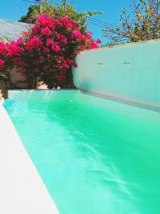 uma piscina com água azul e flores cor-de-rosa em Villa Buganvillas, relax con piscina privada a pocos minutos de la Barrosa y Santi Petri em Chiclana de la Frontera