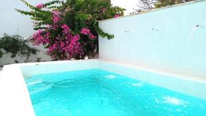 uma piscina com água azul e flores cor-de-rosa em Villa Buganvillas, relax con piscina privada a pocos minutos de la Barrosa y Santi Petri em Chiclana de la Frontera