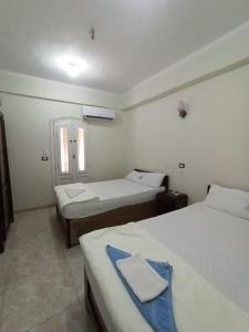 a hotel room with two beds and a window at Al-Manara Hostel Siwa Oasis in Siwa