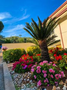 a flower garden with a palm tree and flowers at Villanna in Sperlonga