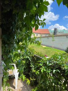 ogród z zielonymi roślinami i budynek w obiekcie Hostel Europe-U w Lwowie
