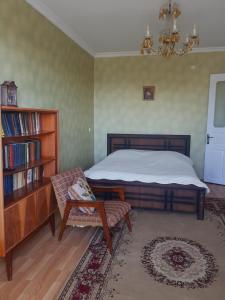 een slaapkamer met een bed en een boekenplank bij Recalls in Samtredia