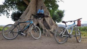 deux vélos garés à côté d'une personne assise sur un arbre dans l'établissement ArushaLand homestay, à Arusha