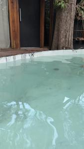 a swimming pool filled with water in front of a door at La Casita- imawi in Belén de Escobar
