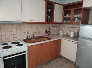 Kuchyňa alebo kuchynka v ubytovaní Ki & Ki apartment 2, New Michaniona + 6 fotografií
