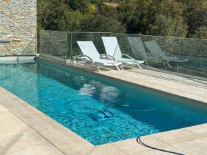 a pool with chairs and a dog in the water at Grimaud villa in Grimaud