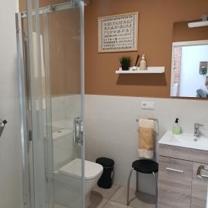 a bathroom with a shower and a toilet and a sink at Casa Huidobro Valle 