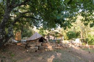 Zahrada ubytování Agriturismo e Glamping Serraiola Alta